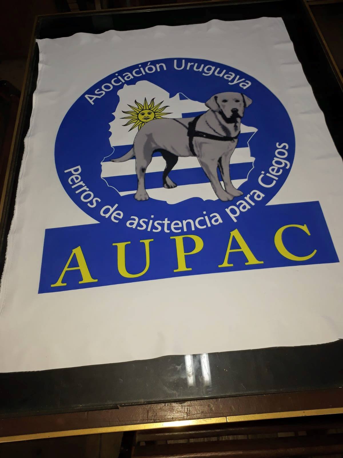 Asociación Uruguaya Perros de Asistencia para Ciegos también expresó sus inquietudes ante el Parlamento
