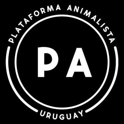 Plataforma Animalista: “Nos apena que en pleno año 2020 sigamos teniendo profesionales que recomiendan matar a los perros abandonados”