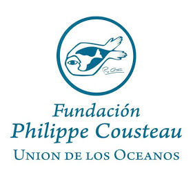 Montevideo acogerá el acto de entrega de los Premios de Medio Ambiente 2020 de la Fundación Philippe Cousteau