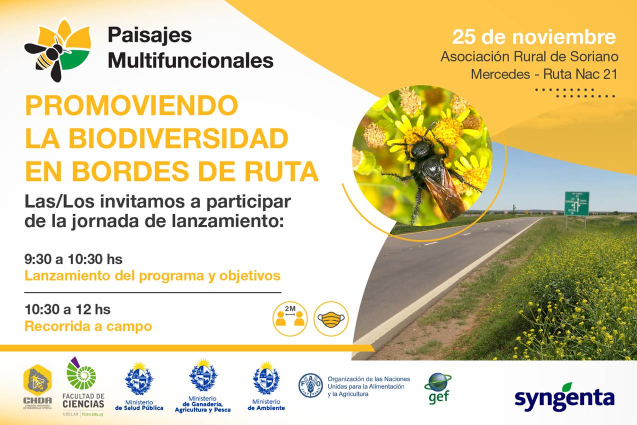 Syngenta Uruguay realizará el lanzamiento “Promoviendo la biodiversidad en bordes de ruta”
