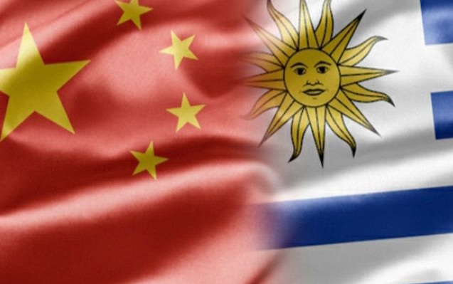 Uruguay – China: Las exportaciones se situaron en US$ 867 millones, sin considerar las zonas francas en segundo semestre de 2020