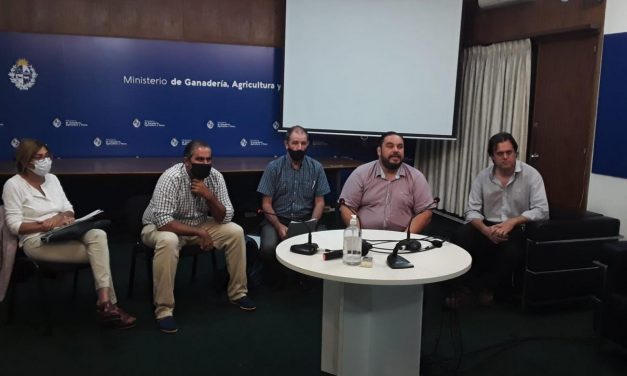 Made in Uruguay: Apicultores podrán exportar propóleo en bruto