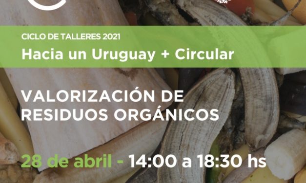 Ministerio de Ambiente: Ciclo de Talleres 2021 “Hacia un Uruguay + Circular”