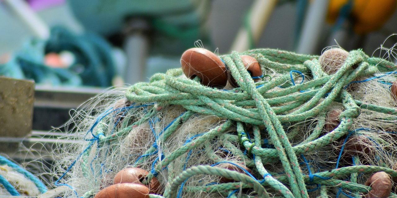 Echeverría y Raddicioni presentan proyecto que impulsa modificaciones la Ley No. 19.175 sobre pesca artesanal