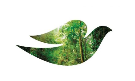 Dove impulsa acciones para recuperar 20.000 hectáreas de bosques