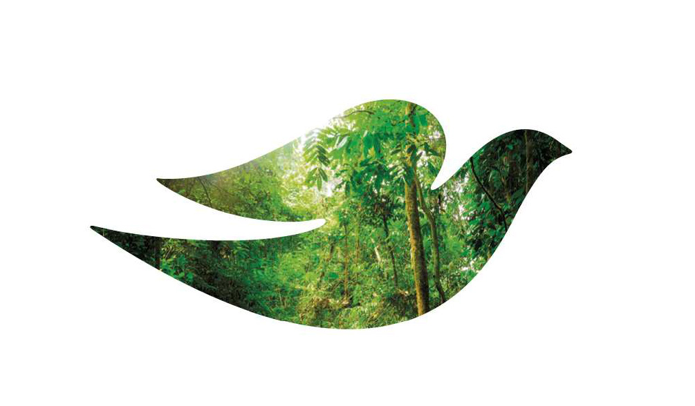 Dove impulsa acciones para recuperar 20.000 hectáreas de bosques