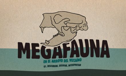 MEGAFAUNA EN EL ARROYO DEL VIZCAÍNO 2011-2021