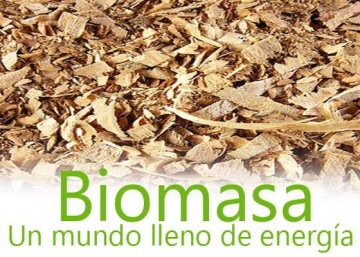 UTE podrá bonificar un 10% del cargo de potencia a los generadores que utilizan biomasa como combustible