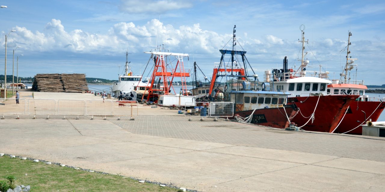 Comisión parlamentaria convoca a la ANP sobre operativa en puerto de La Paloma