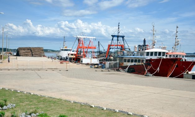 Comisión parlamentaria convoca a la ANP sobre operativa en puerto de La Paloma