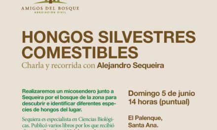 Amigos del Bosque: Funga silvestre de la mano de Alejandro Sequeira