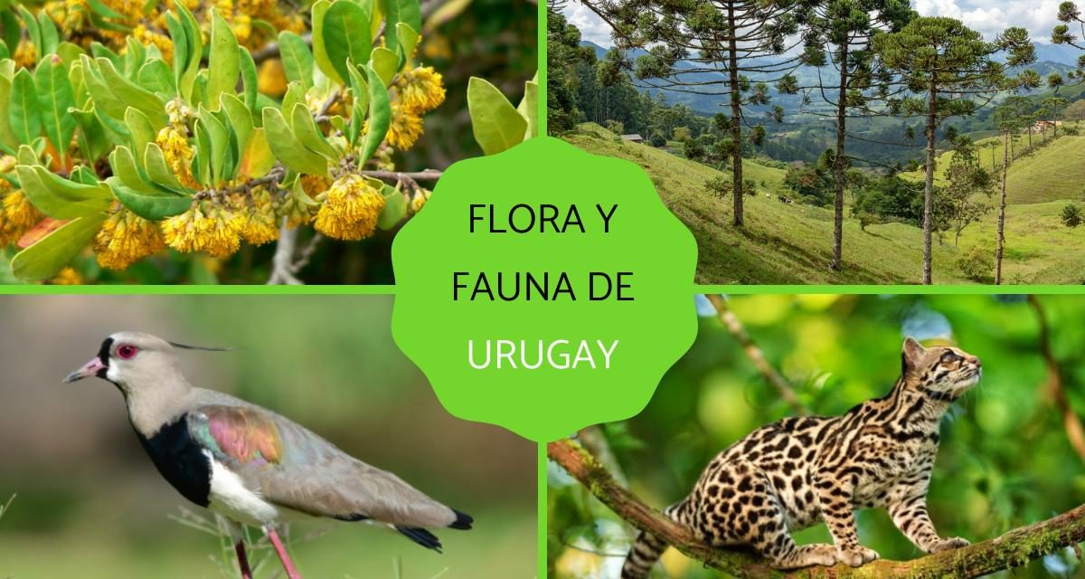 Lanzamiento del libro «Especies Exóticas Invasoras en Uruguay”