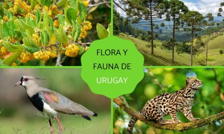 Lanzamiento del libro «Especies Exóticas Invasoras en Uruguay”