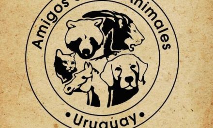 ONG Amigos de los Animales de Paysandú: “En quince años hemos efectuado alrededor de 35.000 cirugías”