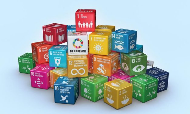 ANONG dio cuenta del Informe sobre sobre Objetivos de Desarrollo Sostenible (ODS) en Uruguay en 2022: ¿cuáles fueron las conclusiones?
