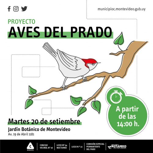 aves del Prado