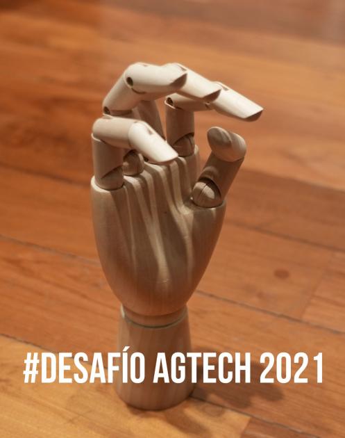 Desafío AgTech 2021: ¿Quiénes fueron los ganadores y qué proponen?