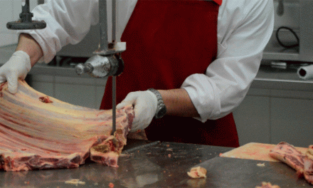 Comenzaron los cursos para operarios de carnicerías en actividad del INAC en Intendencia de Rocha