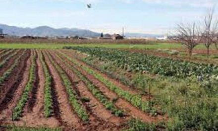 Publicación “El cambio agrario en el Uruguay contemporáneo”