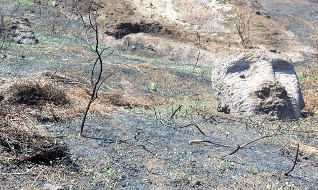 UNESCO financia diagnóstico y plan de gestión para afrontar daños del incendio en el Parque Nacional Rapa Nui