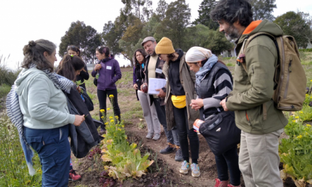 Escuela Abierta de Agroecología de Montevideo: ¿Qué actividades realiza?