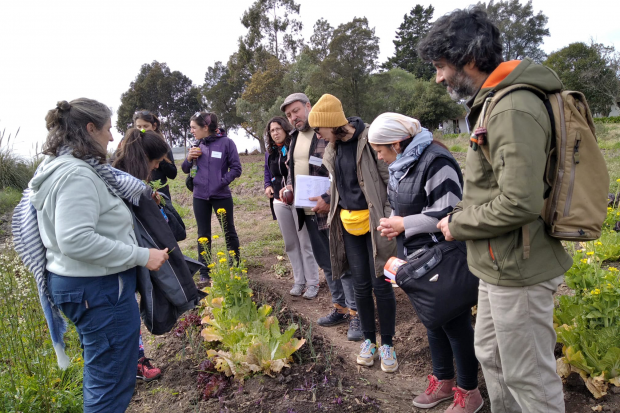 Escuela Abierta de Agroecología de Montevideo: ¿Qué actividades realiza?