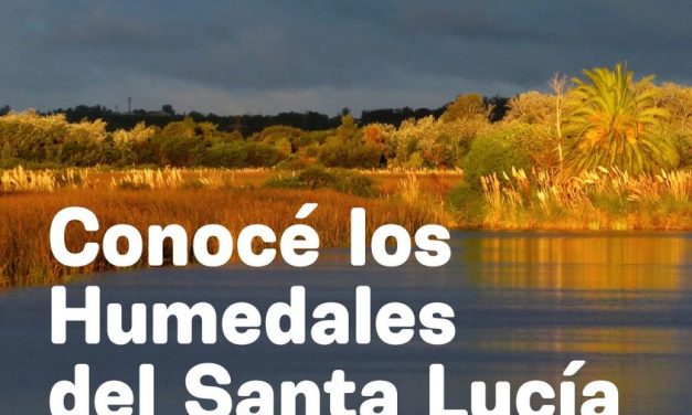 Día Mundial de los Humedales en el Río Santa Lucía