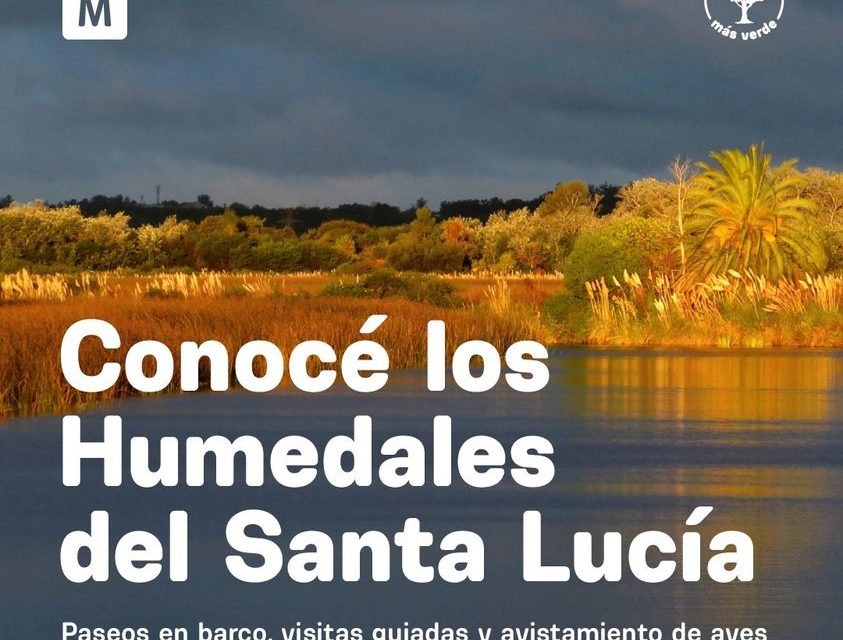 Día Mundial de los Humedales en el Río Santa Lucía