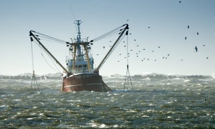 Estudio sobre situación actual, perspectiva y oportunidades para el desarrollo del sector pesquero