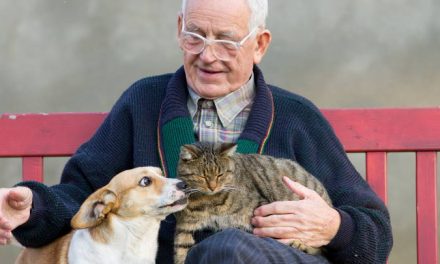 La importancia de las mascotas en la vida de los adultos mayores