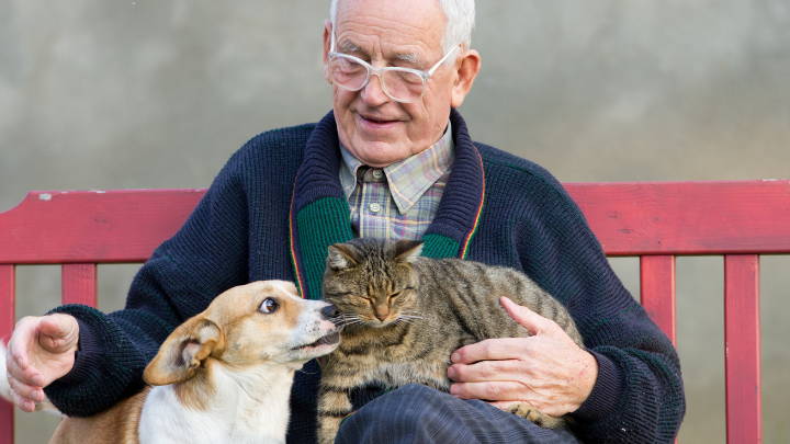 La importancia de las mascotas en la vida de los adultos mayores