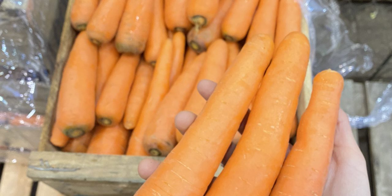 Los beneficios nutricionales y funcionales de la zanahoria: una joya de la horticultura