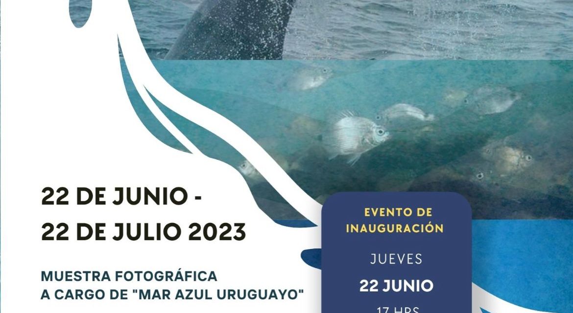 CAF invita a muestra de fotos Mar Azul Uruguayo