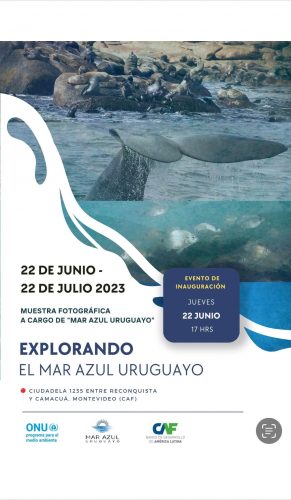 Mar Azul Uruguayo