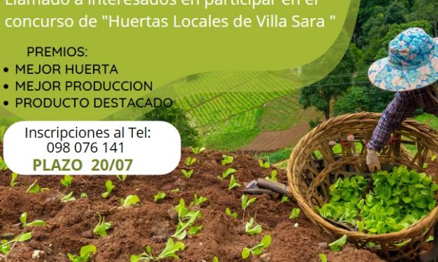 Concurso de “Huertas Locales de Villa Sara”
