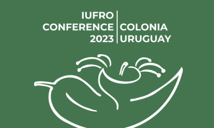 Conferencia IUFRO enfocada a las plantaciones de eucalipto