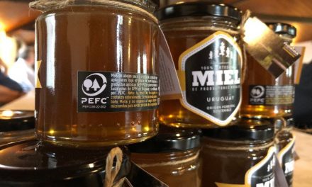 Los increíbles beneficios de la miel: Un regalo de la naturaleza para tu salud