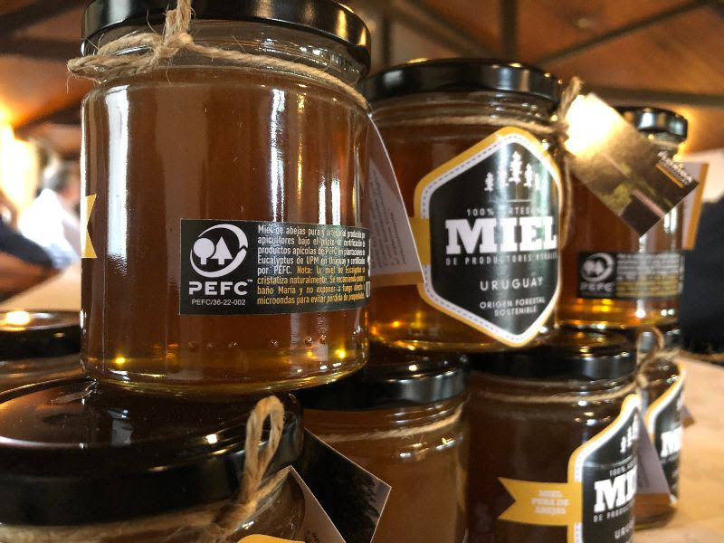 Los increíbles beneficios de la miel: Un regalo de la naturaleza para tu salud