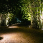 Nuevo sistema lumínico del Jardín Botánico