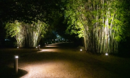 Nuevo sistema lumínico del Jardín Botánico