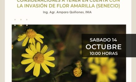 Expo Chiflero: Lecciones de la sequía y Consideraciones sobre la invasión de flor amarilla