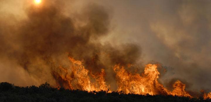 Movus: Parlamento aprobó Ley de Prevención de Incendios Forestales