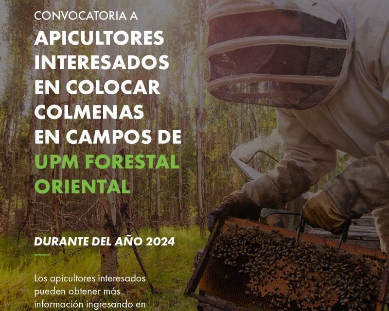 Nuevo llamado para apicultores interesados en colocar colmenas en campos de UPM 2024