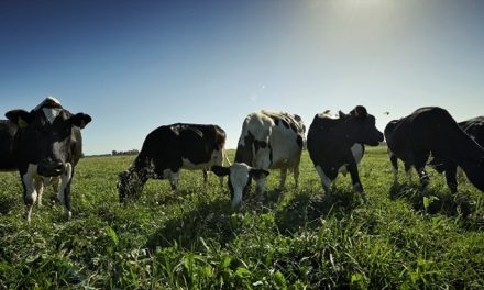 Industria Láctea de Uruguay: En 2022 se elaboraron 168 mil toneladas de leche en polvo