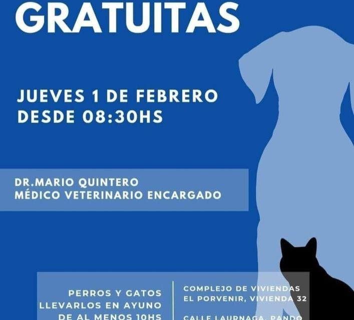 Pando: Castraciones Gratuitas para perros y gatos