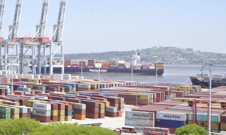 Juan Curbelo: El puerto de Montevideo se está transformando en el puerto HUB del Río de la Plata