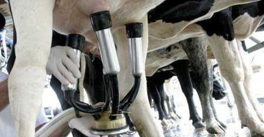 ¿Cuáles son conclusiones sobre el Primer estudio piloto para la medición de pérdidas en la industria láctea en Uruguay?