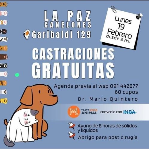 Castraciones La Paz