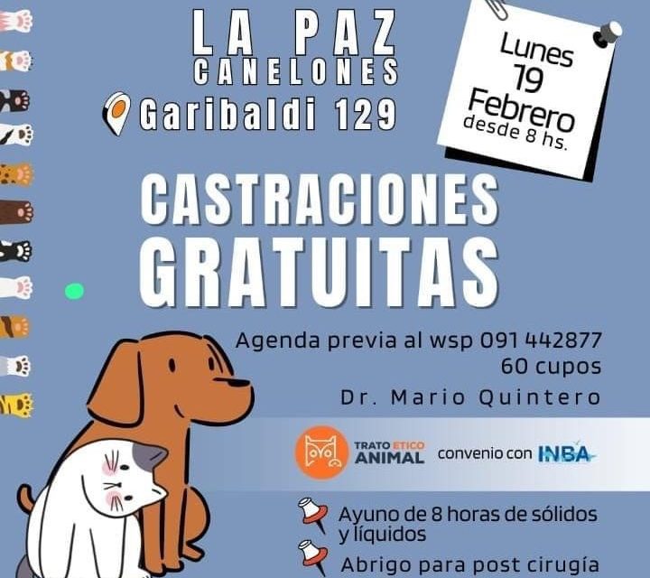 Castraciones gratuitas en La Paz