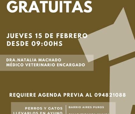 Castraciones Gratuitas en Aires Puros